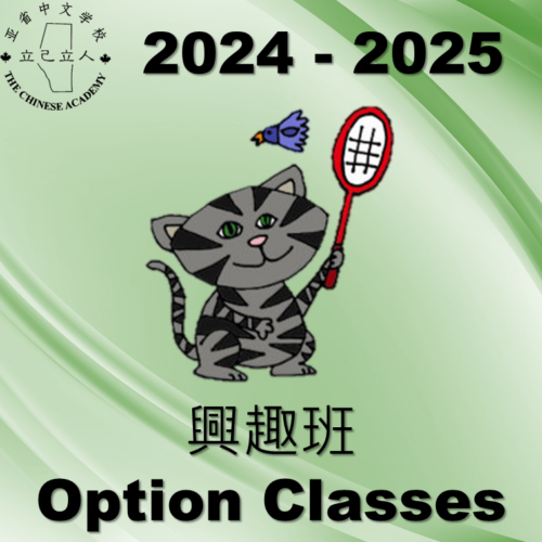 2024-2025 Option Classes